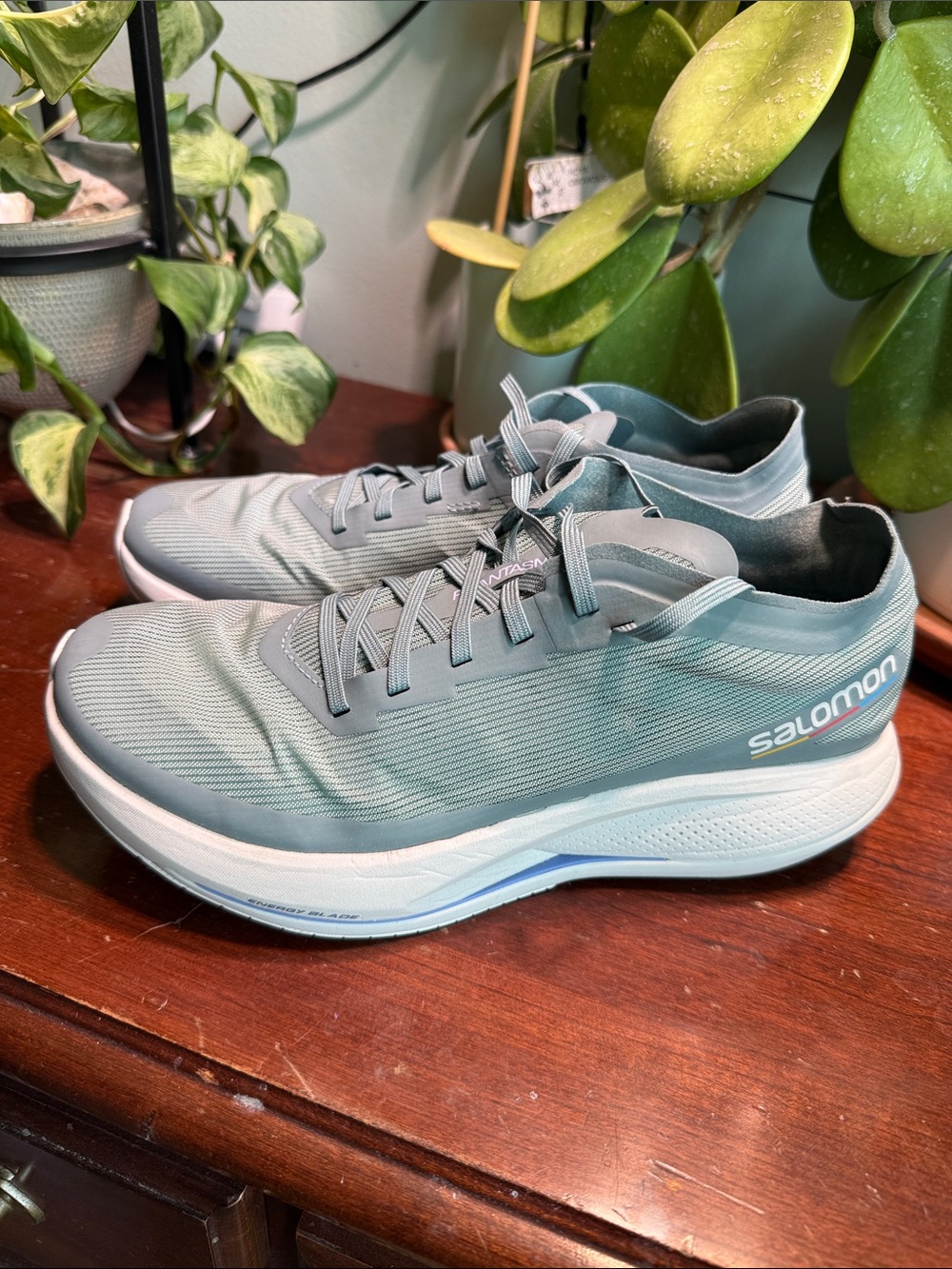 Salomon Women’s Phantasm running shoes